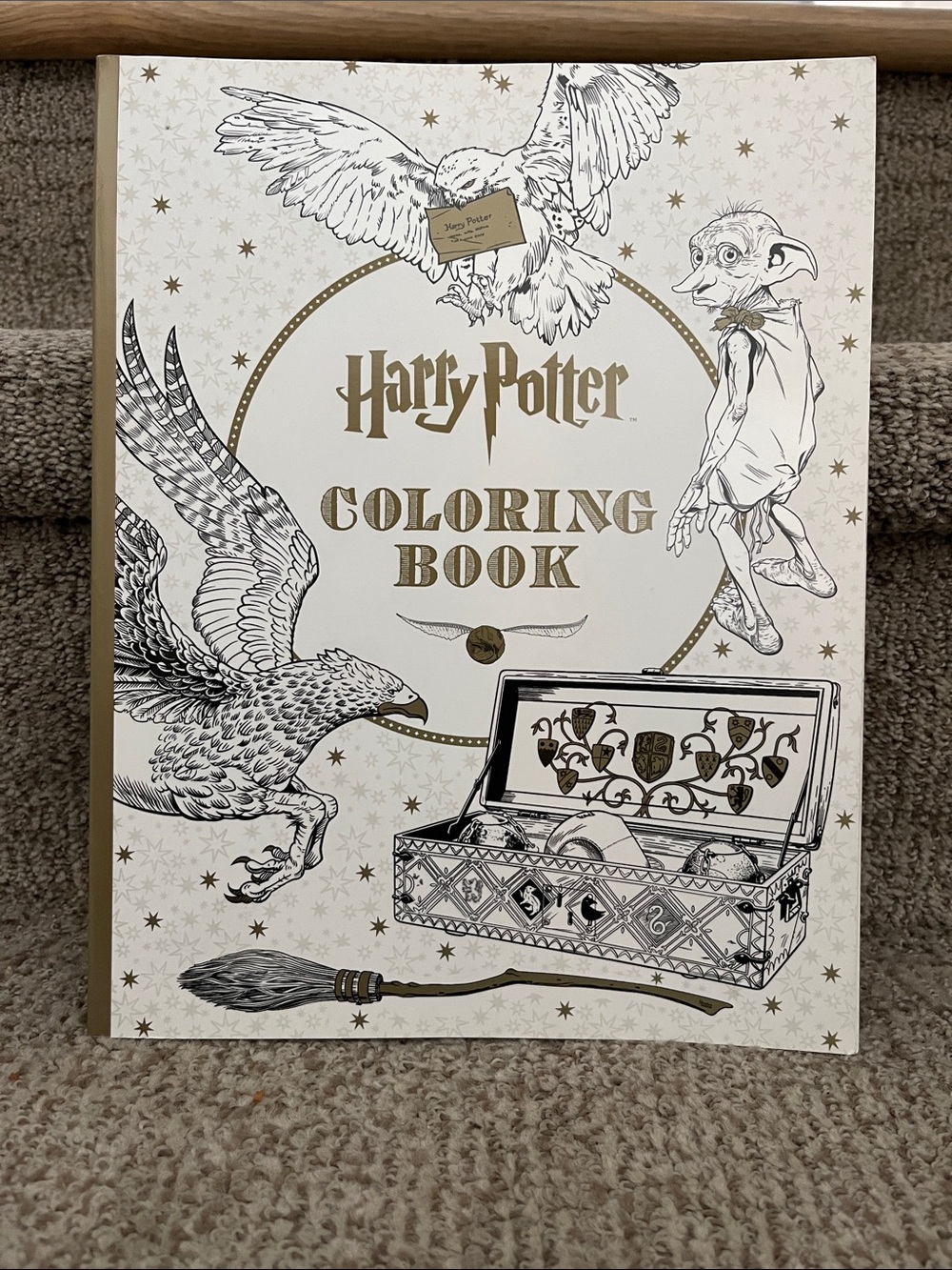 Scholastic Harry Potter Coloring Book - new